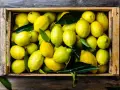 Cassa di limoni freschi. Attenzione, il citric acid fa male se consumato in eccesso.