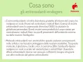 Cosa sono gli antiossidanti endogeni: enzimi e molecole che contrastano i radicali liberi. Il loro significato è proteggere il corpo.