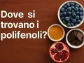Mirtilli, curcuma, cioccolato fondente e melograno: tutti ricchi di polifenoli.