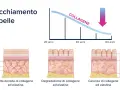 La pelle invecchia: il collagene diminuisce con l'età, causando rughe e perdita di elasticità. Sembra che sono invecchiata di colpo!