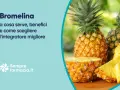 Bromelina: scopri a cosa serve, i benefici e come scegliere il miglior integratore. Ananas fresco e a fette.