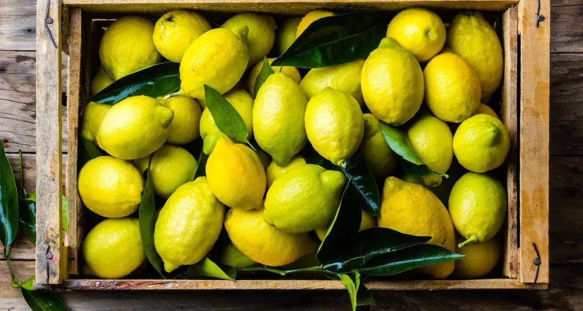 Cassa di limoni freschi. Attenzione, il citric acid fa male se consumato in eccesso.