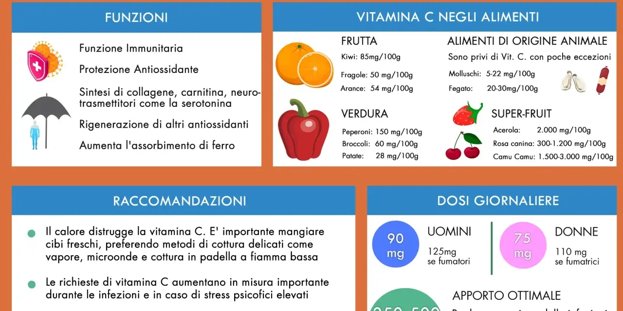 Infografica su Vitamina C: funzioni, alimenti ricchi (frutta, verdura, super-frutta), raccomandazioni e dosi giornaliere per uomini e donne.