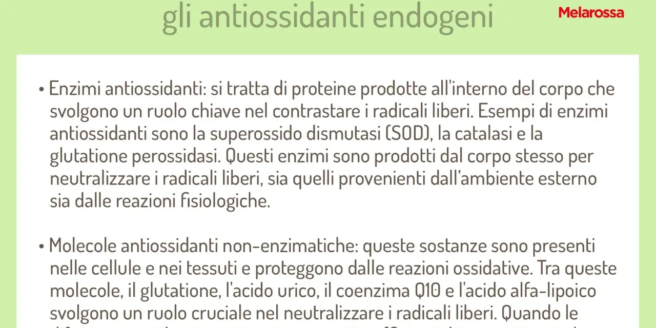 Cosa sono gli antiossidanti endogeni: enzimi e molecole che contrastano i radicali liberi. Il loro significato è proteggere il corpo.