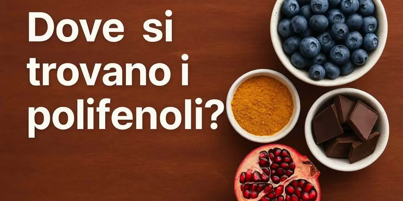 Mirtilli, curcuma, cioccolato fondente e melograno: tutti ricchi di polifenoli.
