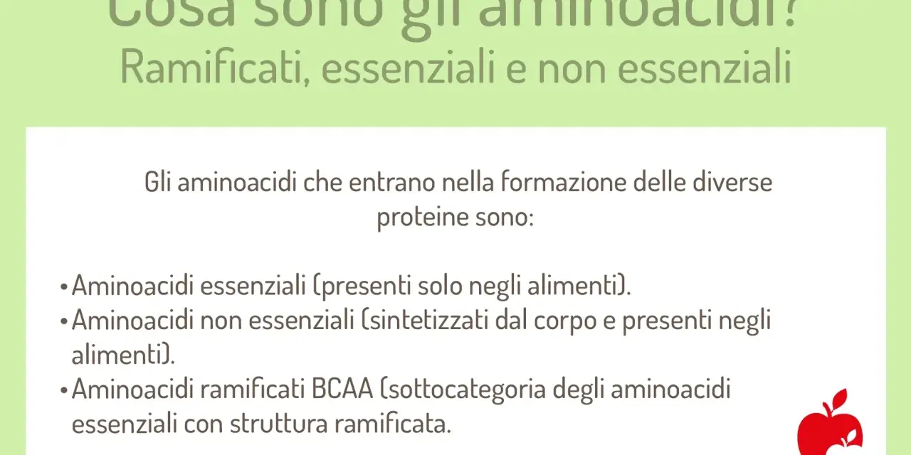 Gli aminoacidi essenziali, non essenziali e ramificati sono i mattoni delle proteine. Scopri a cosa servono gli aminoacidi per il tuo corpo.