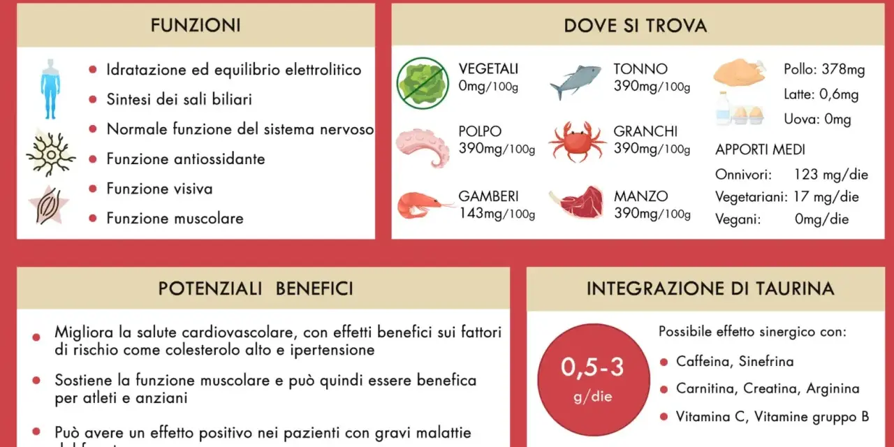 La taurina cos'è? Funzioni, dove si trova (tonno, pollo, manzo, ecc.) e benefici per muscoli e cuore.