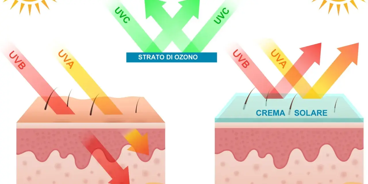 Protezione solare: raggi UVA e UVB penetrano la pelle senza protezione. Con crema solare, i raggi vengono riflessi.