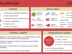 La taurina cos'è? Funzioni, dove si trova (tonno, pollo, manzo, ecc.) e benefici per muscoli e cuore.