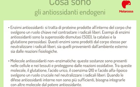Cosa sono gli antiossidanti endogeni: enzimi e molecole che contrastano i radicali liberi. Il loro significato è proteggere il corpo.