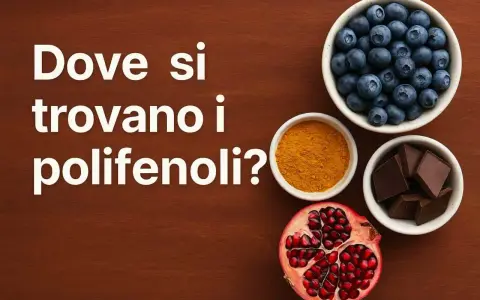 Mirtilli, curcuma, cioccolato fondente e melograno: tutti ricchi di polifenoli.