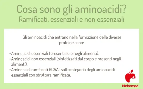 Gli aminoacidi essenziali, non essenziali e ramificati sono i mattoni delle proteine. Scopri a cosa servono gli aminoacidi per il tuo corpo.