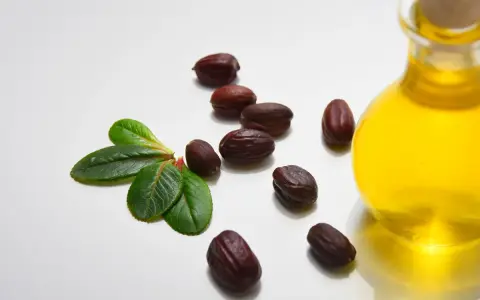 Semi di jojoba e una bottiglia di olio dorato, evidenziando le proprietà dell'olio di jojoba per la cura della pelle.