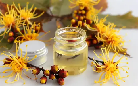 Un flacone di olio giallo circondato da fiori di amamelide, che mostra cos'è questa pianta benefica.