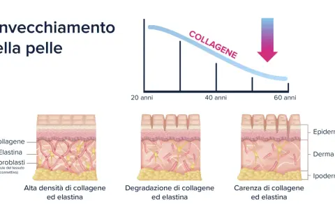 La pelle invecchia: il collagene diminuisce con l'età, causando rughe e perdita di elasticità. Sembra che sono invecchiata di colpo!