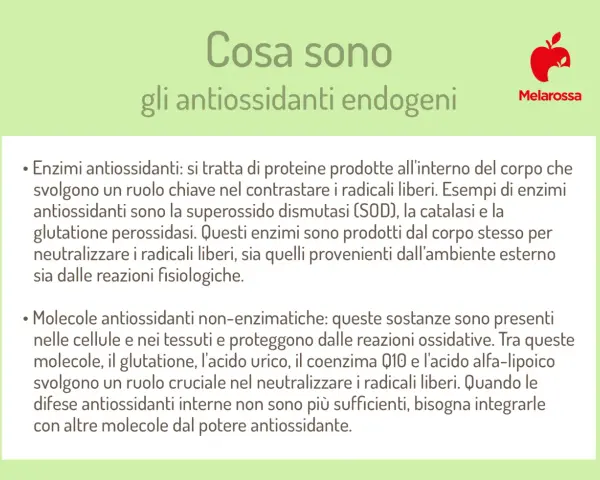 Cosa sono gli antiossidanti endogeni: enzimi e molecole che contrastano i radicali liberi. Il loro significato è proteggere il corpo.