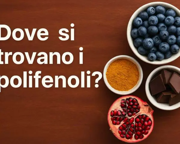 Mirtilli, curcuma, cioccolato fondente e melograno: tutti ricchi di polifenoli.