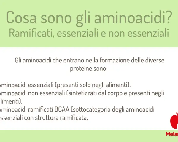Gli aminoacidi essenziali, non essenziali e ramificati sono i mattoni delle proteine. Scopri a cosa servono gli aminoacidi per il tuo corpo.