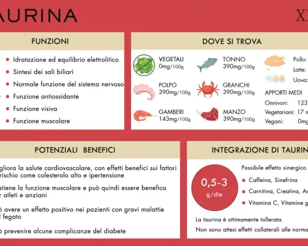 La taurina cos'è? Funzioni, dove si trova (tonno, pollo, manzo, ecc.) e benefici per muscoli e cuore.