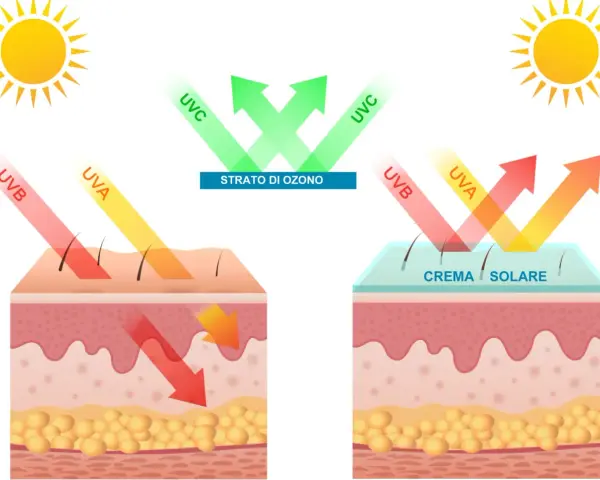 Protezione solare: raggi UVA e UVB penetrano la pelle senza protezione. Con crema solare, i raggi vengono riflessi.