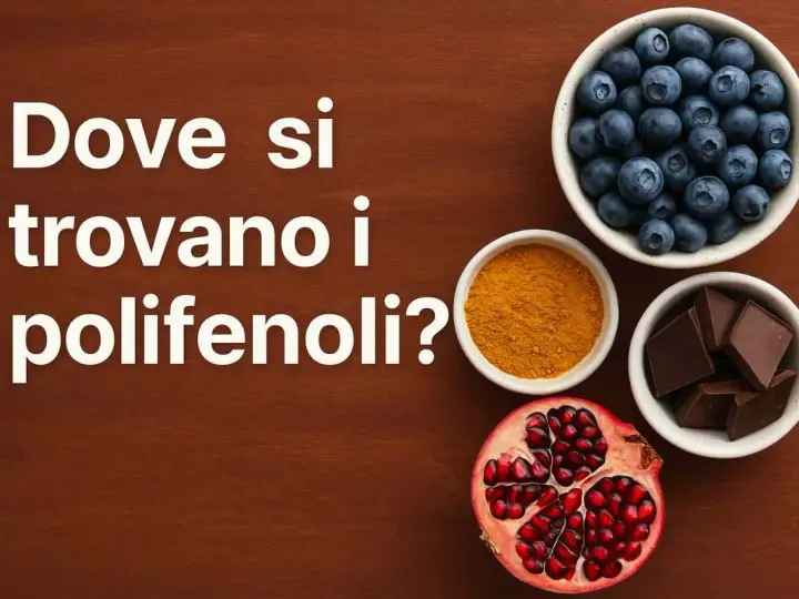 Mirtilli, curcuma, cioccolato fondente e melograno: tutti ricchi di polifenoli.