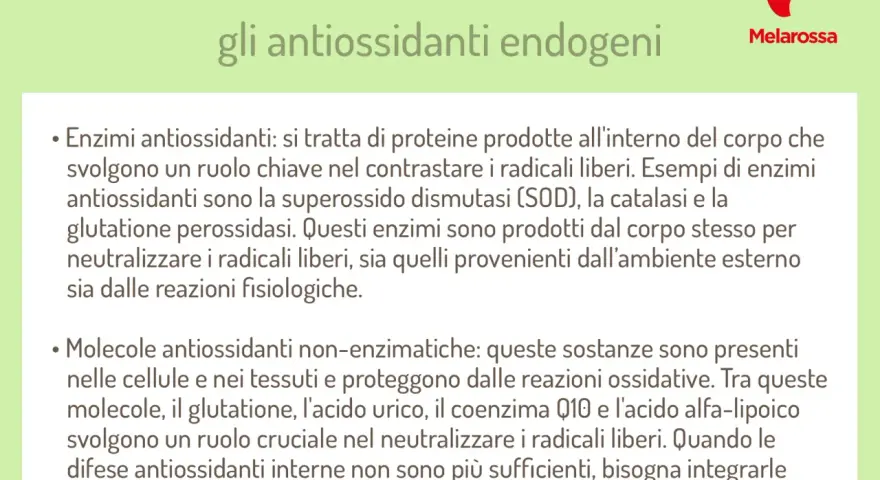 Cosa sono gli antiossidanti endogeni: enzimi e molecole che contrastano i radicali liberi. Il loro significato è proteggere il corpo.