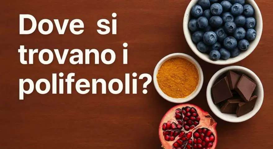 Mirtilli, curcuma, cioccolato fondente e melograno: tutti ricchi di polifenoli.