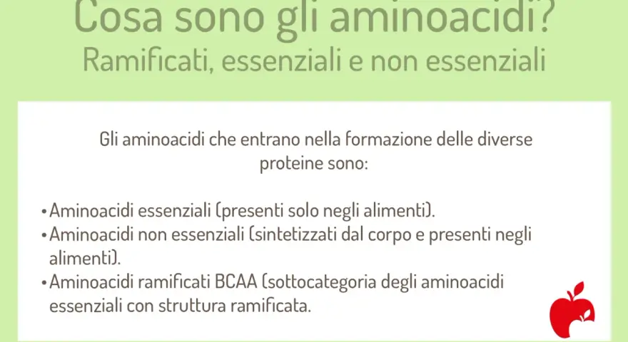 Gli aminoacidi essenziali, non essenziali e ramificati sono i mattoni delle proteine. Scopri a cosa servono gli aminoacidi per il tuo corpo.