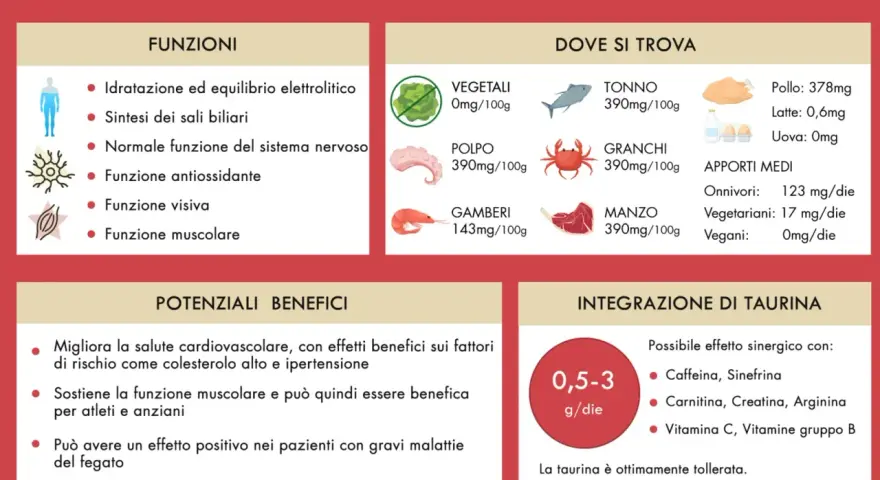 La taurina cos'è? Funzioni, dove si trova (tonno, pollo, manzo, ecc.) e benefici per muscoli e cuore.