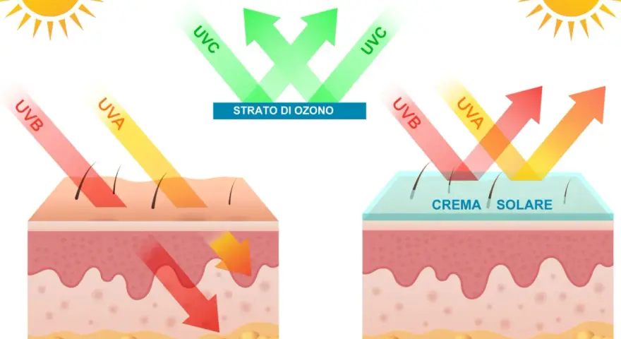 Protezione solare: raggi UVA e UVB penetrano la pelle senza protezione. Con crema solare, i raggi vengono riflessi.