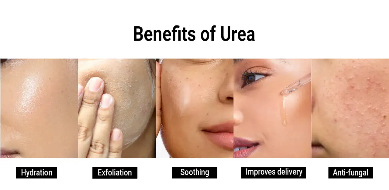 I benefici dell'urea: idratazione, esfoliazione, lenitivo, miglioramento dell'assorbimento e azione antifungina per una pelle sana.