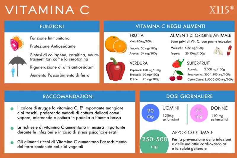 Infografica su Vitamina C: funzioni, alimenti ricchi (frutta, verdura, super-frutta), raccomandazioni e dosi giornaliere per uomini e donne.