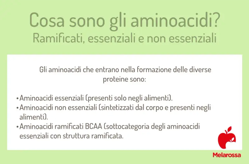 Gli aminoacidi essenziali, non essenziali e ramificati sono i mattoni delle proteine. Scopri a cosa servono gli aminoacidi per il tuo corpo.