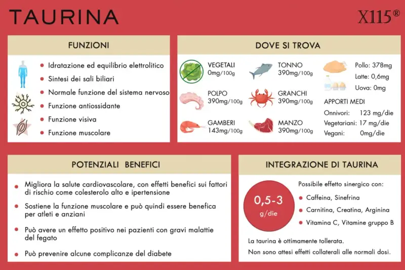La taurina cos'è? Funzioni, dove si trova (tonno, pollo, manzo, ecc.) e benefici per muscoli e cuore.